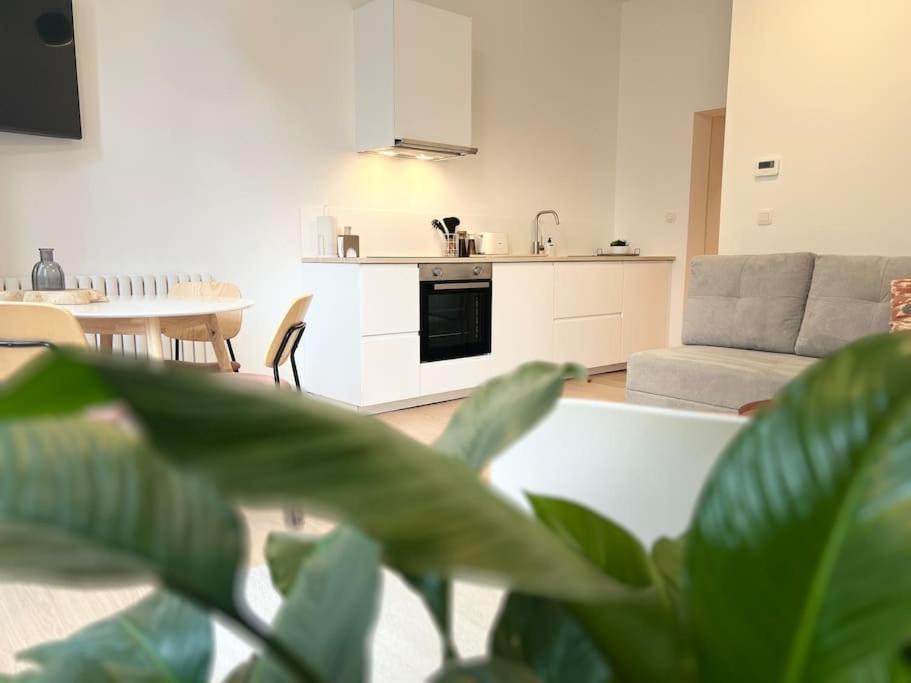 Apartament L'Escapade Chic - Cathedrale, Saint Lambert Liège Zewnętrze zdjęcie